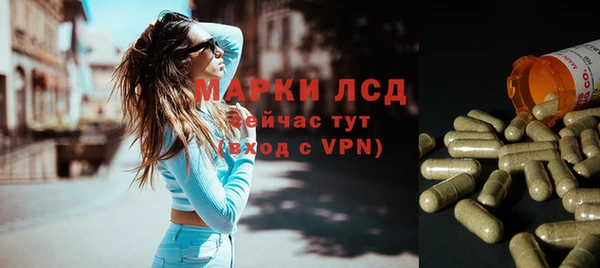 гидра Михайловск