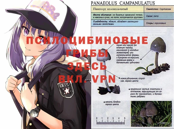 меф Медногорск