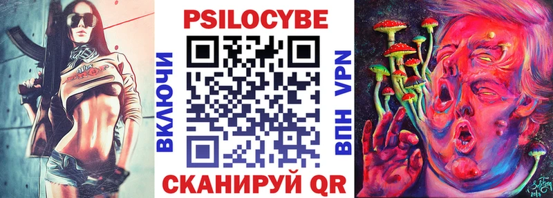 цена   Белгород  Псилоцибиновые грибы Psilocybine cubensis 