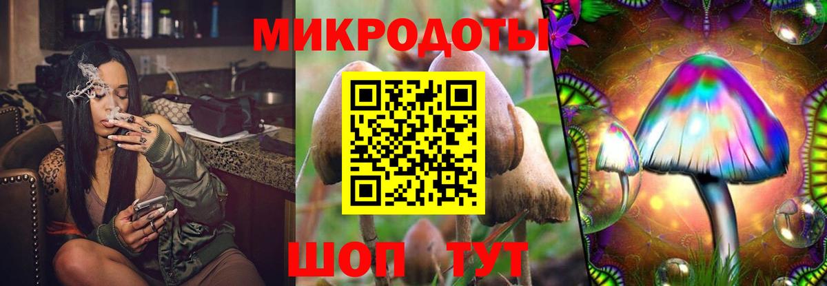 Псилоцибиновые грибы Magic Shrooms  Галлюциногенные грибы мицелий  Белгород 